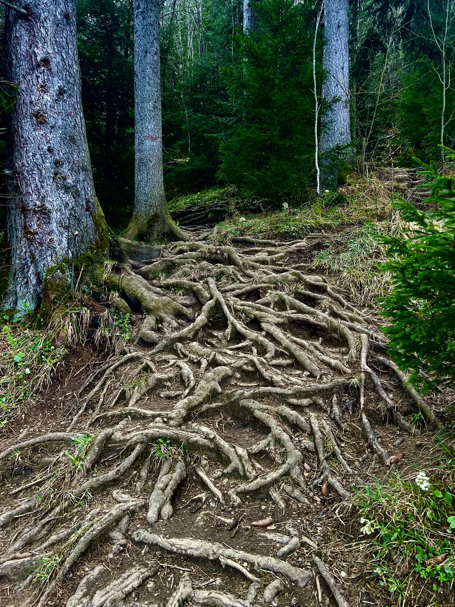 Második inspiráló kép